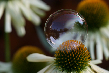 伟大的妈妈小说阅读