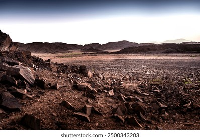 扶摇zydzyd在线阅读 扶摇zydzyd在线阅读